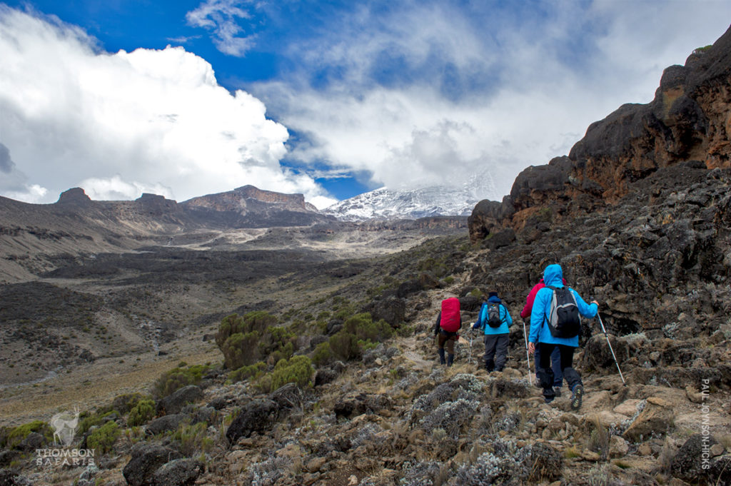 7 of the Best Things on Kilimanjaro’s Most Luxurious Trek - Kilimanjaro