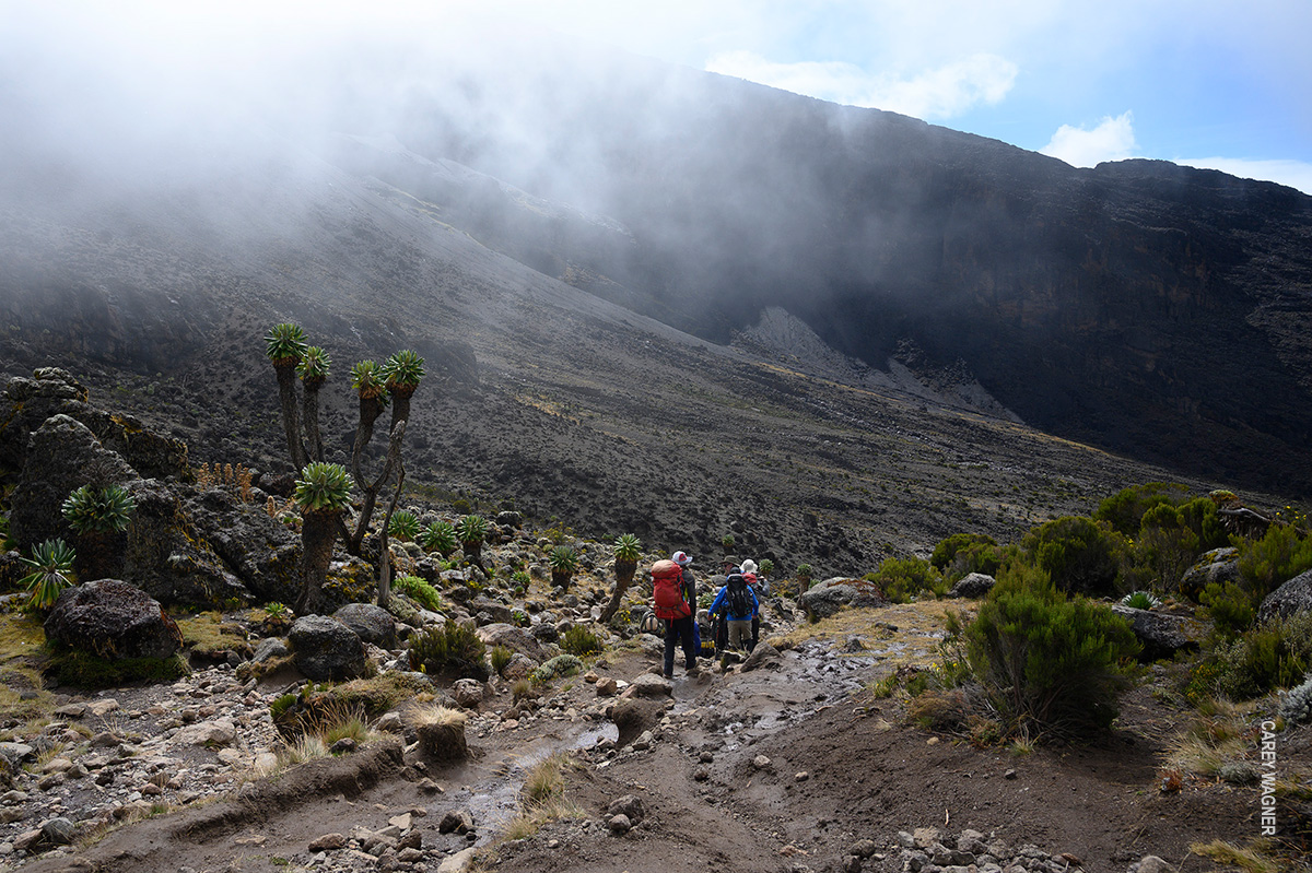 trekking through moorland zone in barranco valley