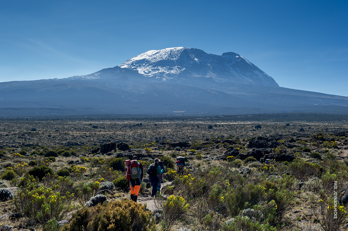 trekking through heath zone with view of kibo on grand traverse route