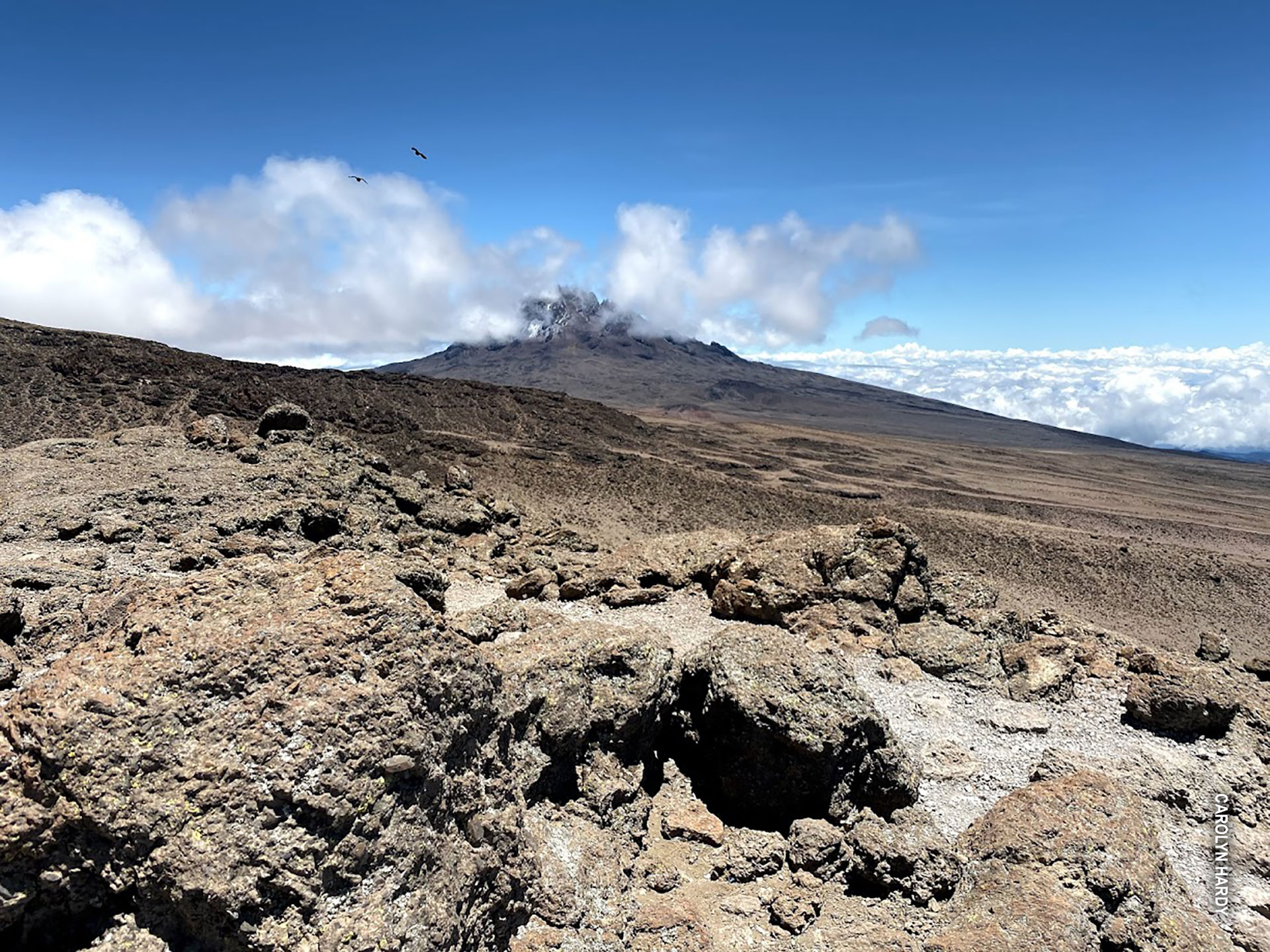 rocky landscape of alpine desert on kili